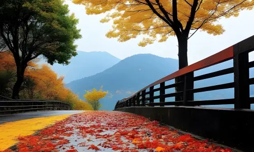 【7601】风景壁纸  4K 超清壁纸1920_2560@青蛙壁纸-笨猫小站