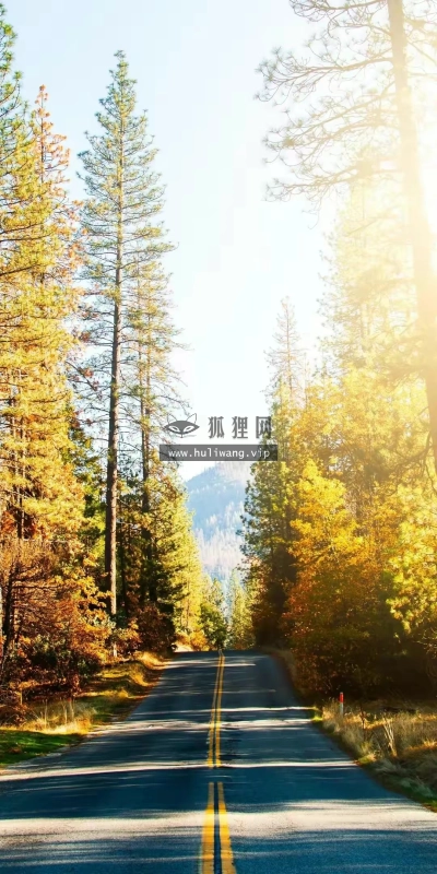 【7642】风景壁纸  4K 超清壁纸1080_2160@青蛙壁纸-笨猫小站