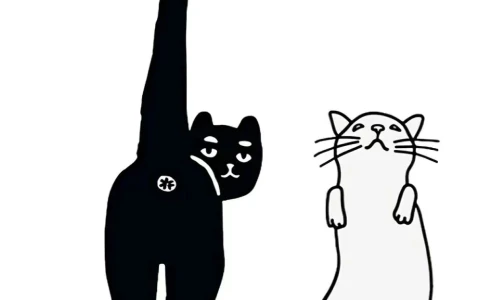 【7689】创意创意壁纸  4K 超清壁纸1242_2688@青蛙壁纸-笨猫小站