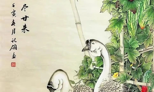【7747】创意壁纸  2K 高清壁纸964_1856@青蛙壁纸-笨猫小站
