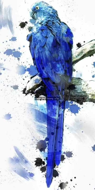 【7753】创意壁纸  2K 高清壁纸864_1920@青蛙壁纸-笨猫小站