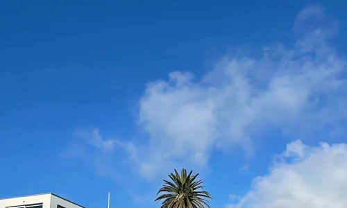 【7758】风景壁纸  4K 超清壁纸1242_2688@青蛙壁纸-笨猫小站