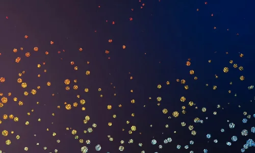【7840】创意壁纸  4K 超清壁纸1440_3200@青蛙壁纸-笨猫小站