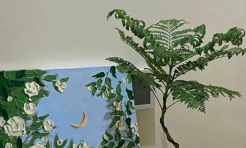 【7857】创意壁纸  2K 高清壁纸946_2048@青蛙壁纸-笨猫小站