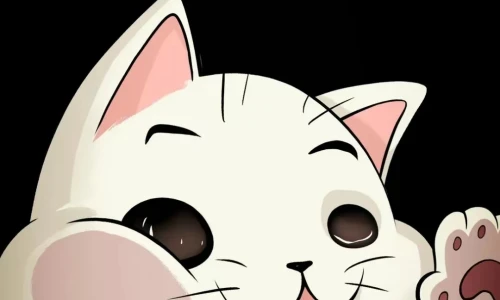 【7894】创意简约壁纸  4K 超清壁纸1080_2376@青蛙壁纸-笨猫小站
