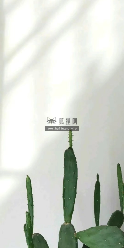 【7909】创意壁纸  4K 超清壁纸1080_2338@青蛙壁纸-笨猫小站