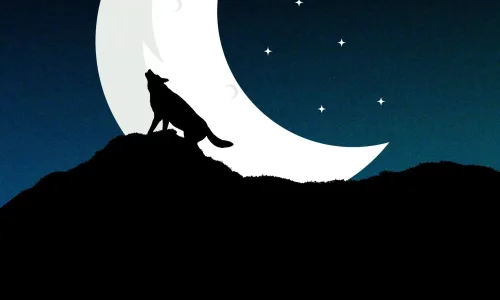 【7910】创意壁纸  4K 超清壁纸1924_4160@青蛙壁纸-笨猫小站