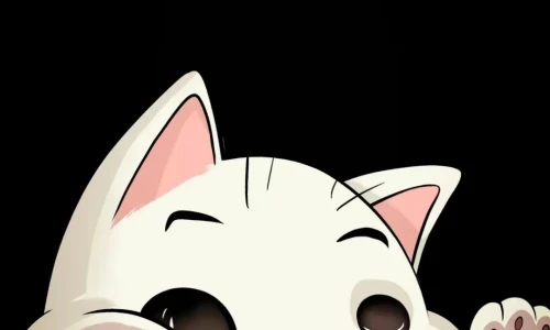 【7913】创意创意壁纸  4K 超清壁纸1080_2376@青蛙壁纸-笨猫小站