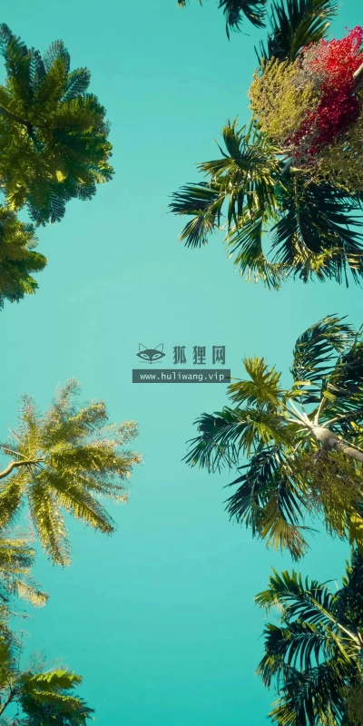 【7937】风景壁纸  4K 超清壁纸1440_3120@青蛙壁纸-笨猫小站