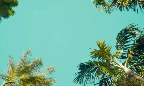 【7937】风景壁纸  4K 超清壁纸1440_3120@青蛙壁纸-笨猫小站