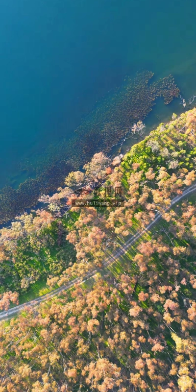 【8048】风景壁纸  4K 超清壁纸1080_2342@青蛙壁纸-笨猫小站
