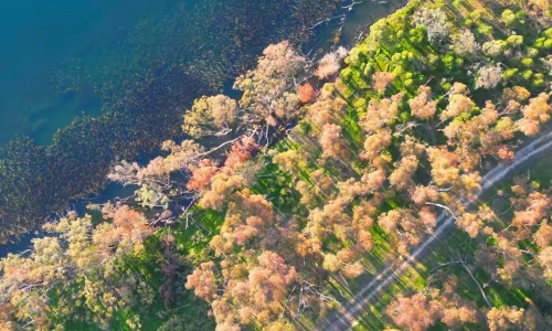 【8048】风景壁纸  4K 超清壁纸1080_2342@青蛙壁纸-笨猫小站