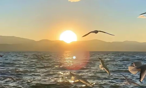 【8114】风景壁纸  4K 超清壁纸1080_2400@青蛙壁纸-笨猫小站