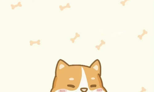 【8126】动漫创意壁纸  4K 超清壁纸1170_2532@青蛙壁纸-笨猫小站