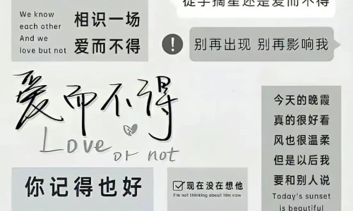 【8169】文字壁纸  4K 超清壁纸1102_2382@青蛙壁纸-笨猫小站