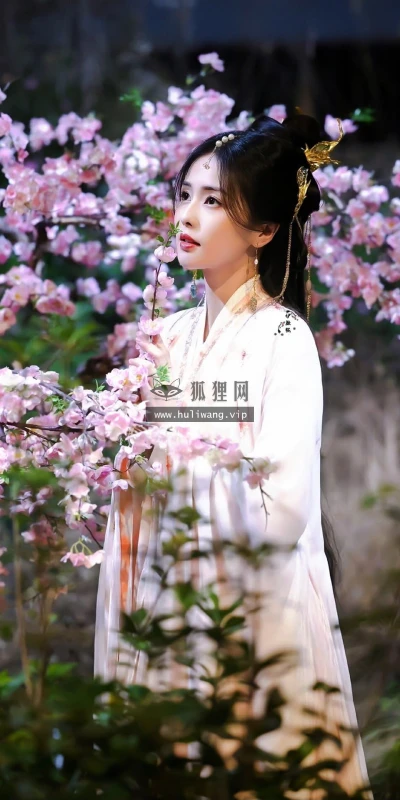 【8274】美女人物影视壁纸 明星 演员 古装 白鹿  2K 高清壁纸1080_1920@青蛙壁纸-笨猫小站