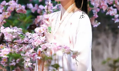 【8274】美女人物影视壁纸 明星 演员 古装 白鹿  2K 高清壁纸1080_1920@青蛙壁纸-笨猫小站