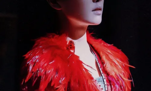 【8276】美女人物影视壁纸 明星 演员 古装 白鹿  2K 高清壁纸1080_1920@青蛙壁纸-笨猫小站