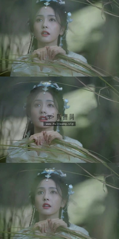 【8286】美女人物影视壁纸 明星 演员 古装 白鹿  2K 高清壁纸886_1920@青蛙壁纸-笨猫小站
