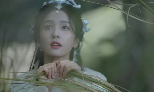 【8286】美女人物影视壁纸 明星 演员 古装 白鹿  2K 高清壁纸886_1920@青蛙壁纸-笨猫小站