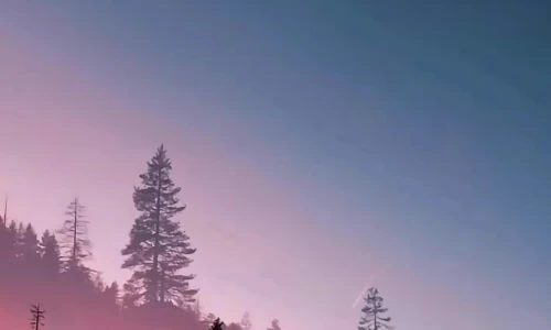 【8317】风景壁纸  4K 超清壁纸1420_3100@青蛙壁纸-笨猫小站