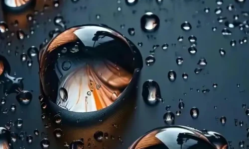 【8338】创意壁纸  2K 高清壁纸888_1920@青蛙壁纸-笨猫小站