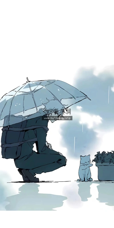 【8349】创意壁纸  4K 超清壁纸1242_2688@青蛙壁纸-笨猫小站