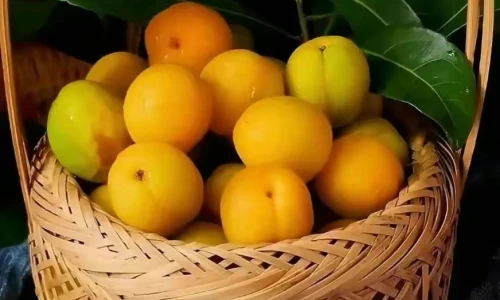 【8399】美食壁纸 水果  2K 高清壁纸872_1856@青蛙壁纸-笨猫小站