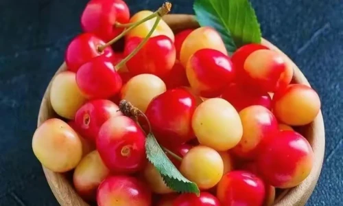 【8403】美食壁纸 水果  2K 高清壁纸872_1858@青蛙壁纸-笨猫小站