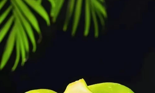 【8409】美食壁纸 水果  2K 高清壁纸872_1854@青蛙壁纸-笨猫小站