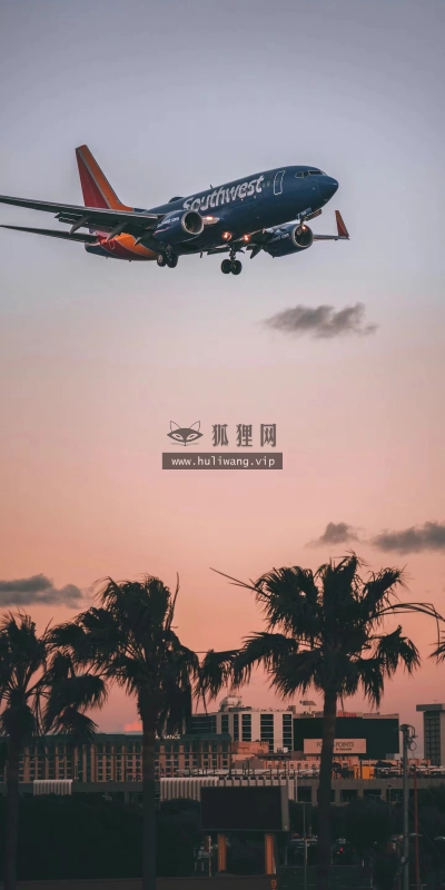 【8558】风景壁纸  4K 超清壁纸1440_3120@青蛙壁纸-笨猫小站