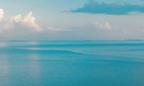 【8568】风景壁纸  4K 超清壁纸1080_2340@青蛙壁纸-笨猫小站