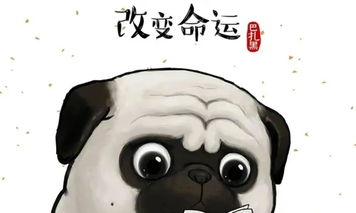 【8583】创意壁纸  4K 超清壁纸1126_2436@青蛙壁纸-笨猫小站