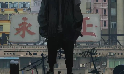 【8754】创意壁纸  2K 高清壁纸1080_1920@青蛙壁纸-笨猫小站