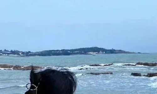 【8808】美女壁纸  2K 高清壁纸888_1919@青蛙壁纸-笨猫小站
