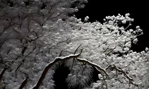 【9368】创意壁纸  2K 高清壁纸872_1884@青蛙壁纸-笨猫小站