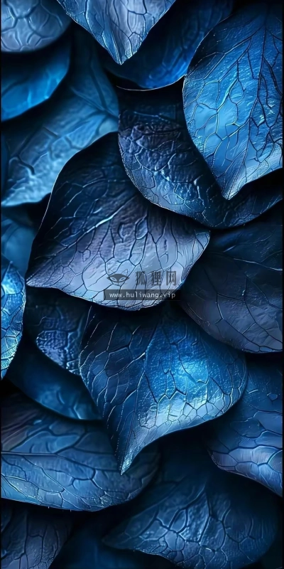 【9376】创意壁纸  2K 高清壁纸856_1884@青蛙壁纸-笨猫小站