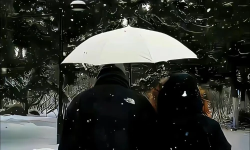 【9439】创意壁纸  4K 超清壁纸1440_2560@青蛙壁纸-笨猫小站