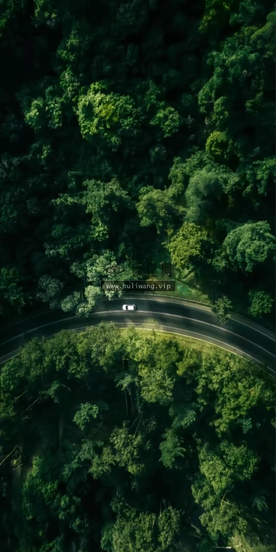 【9487】创意壁纸  4K 超清壁纸1080_2224@青蛙壁纸-笨猫小站