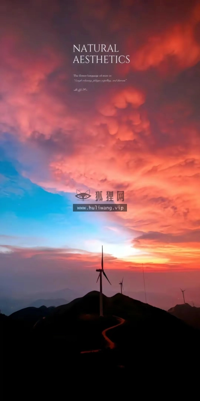 【9484】创意壁纸  4K 超清壁纸1080_2228@青蛙壁纸-笨猫小站
