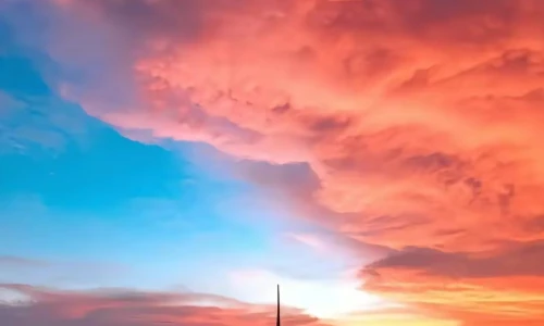 【9484】创意壁纸  4K 超清壁纸1080_2228@青蛙壁纸-笨猫小站