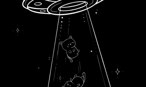 【9502】创意壁纸  4K 超清壁纸1080_2340@青蛙壁纸-笨猫小站
