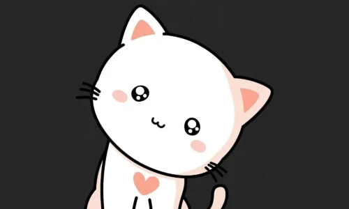 【9505】创意壁纸  4K 超清壁纸1080_2342@青蛙壁纸-笨猫小站