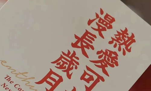 【9534】创意壁纸  4K 超清壁纸1290_2796@青蛙壁纸-笨猫小站