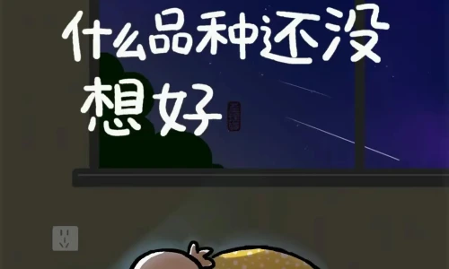 【9590】文字壁纸  2K 高清壁纸1280_1706@青蛙壁纸-笨猫小站