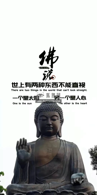 【9597】创意壁纸  4K 超清壁纸1080_2236@青蛙壁纸-笨猫小站