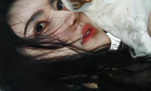 【9626】创意壁纸  4K 超清壁纸1080_2224@青蛙壁纸-笨猫小站