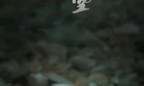 【9727】游戏壁纸 黑神话悟空  4K 超清壁纸1300_2797@青蛙壁纸-笨猫小站