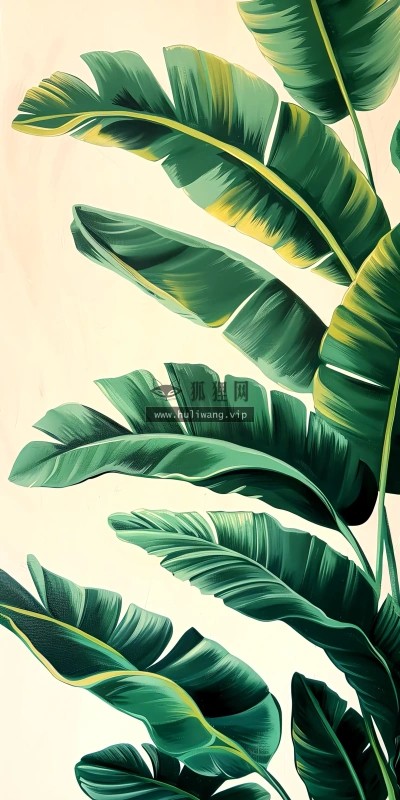 【9941】创意壁纸 4K 超清壁纸1720_3721@青蛙壁纸-笨猫小站