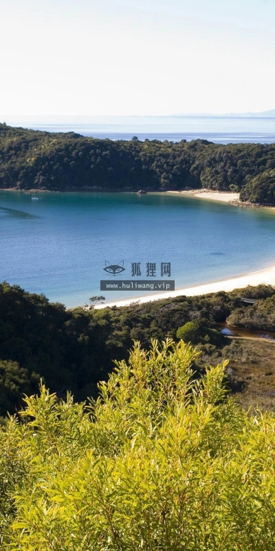 【10074】风景壁纸 亚伯塔斯曼 湖泊 海洋  2K 高清壁纸2560_1600@青蛙壁纸-笨猫小站